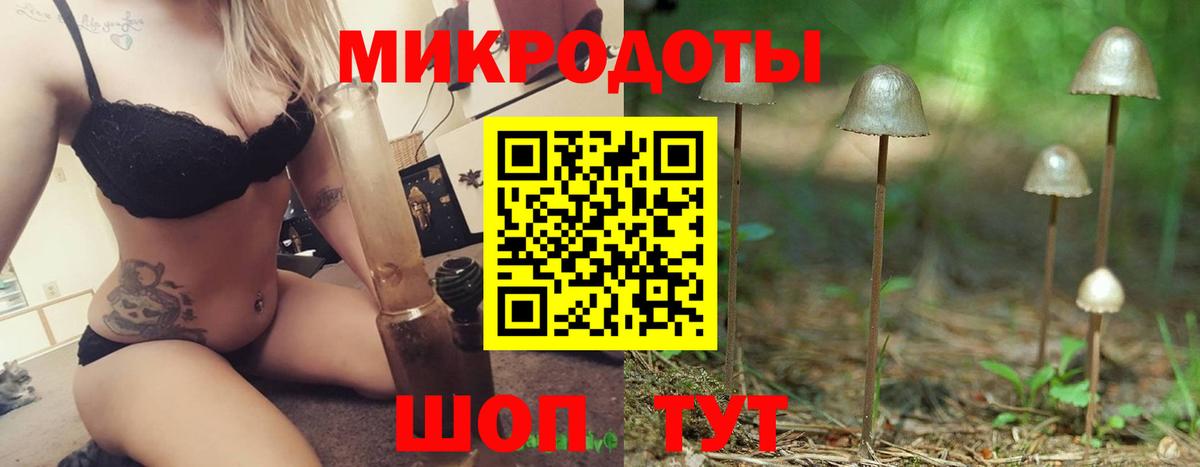 Беслан  сколько стоит  Вход с VPN  Галлюциногенные грибы Psilocybine cubensis 